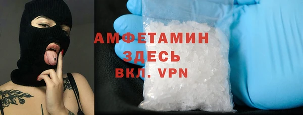 ПСИЛОЦИБИНОВЫЕ ГРИБЫ Алзамай