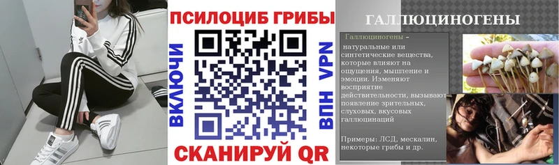 omg ONION  Домодедово  Галлюциногенные грибы ЛСД  цены наркотик 
