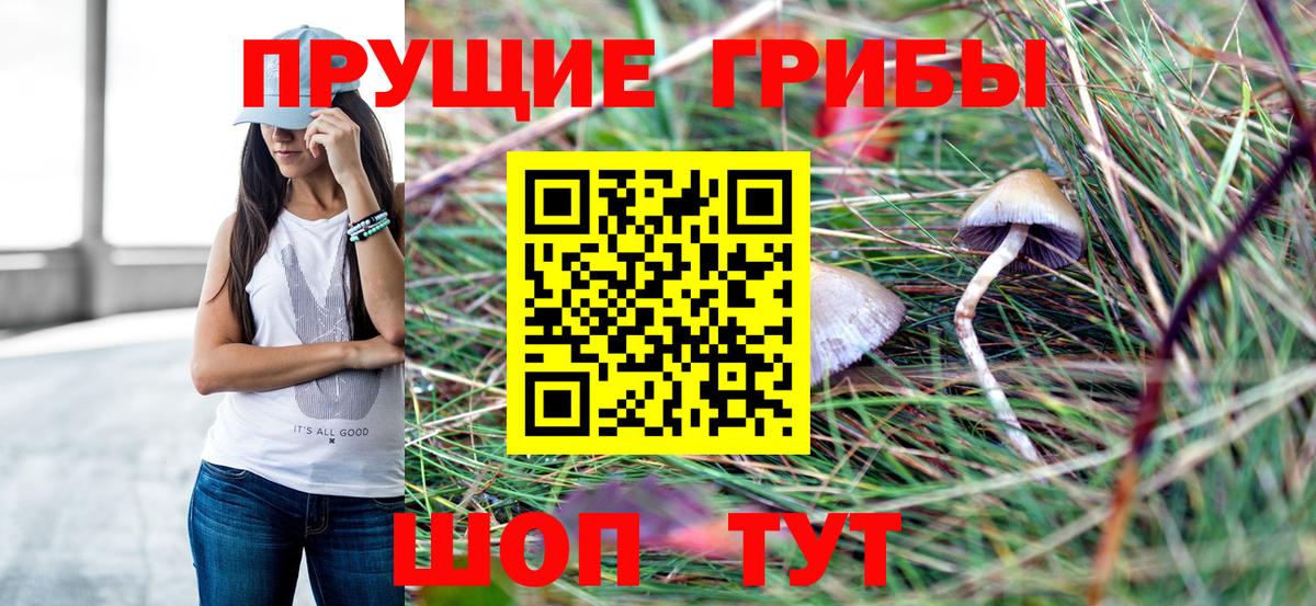 Галлюциногенные грибы Cubensis Домодедово