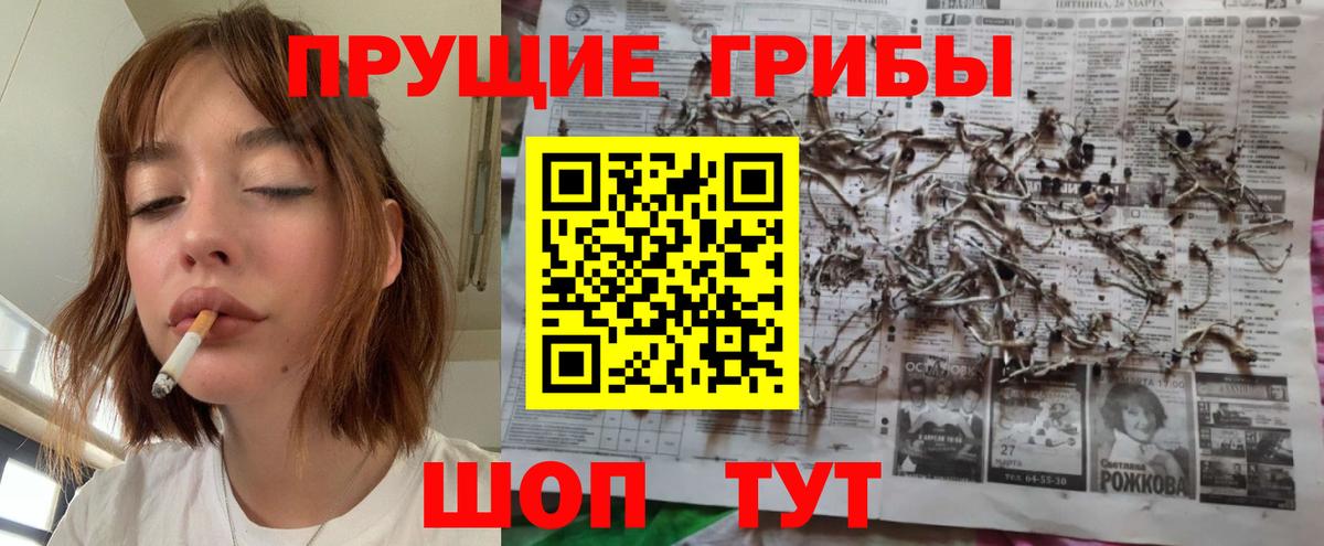 Домодедово  где продают   Вход с VPN  Галлюциногенные грибы MAGIC MUSHROOMS 
